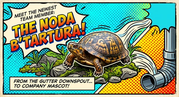 Meet the Newest Member of the Team: The Noda B'Tartura